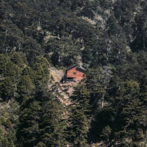 Dgiyaq Gnnu        ◈◈動人金色草原◈◈        奇萊南華兩天一夜｜咕嚕蛙登山隊｜