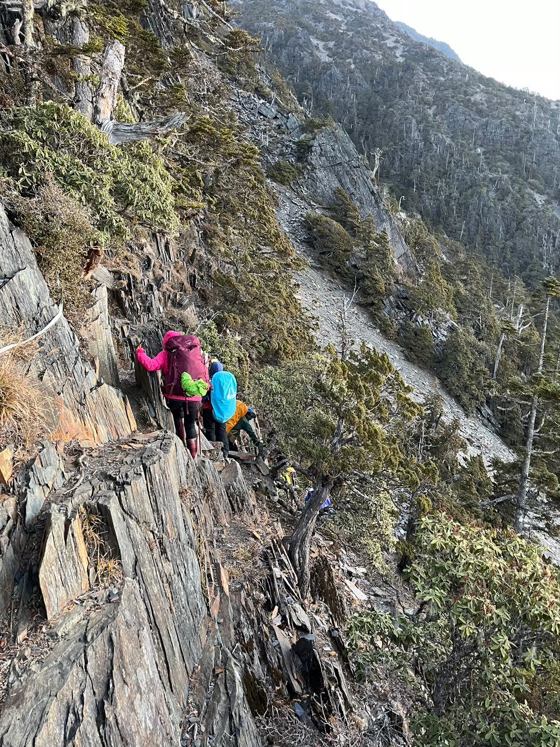 ◈◈ 漫步台灣屋脊的王者之路 ◈◈ 馬博橫斷八天七夜|咕嚕蛙登山隊|:圖片 9