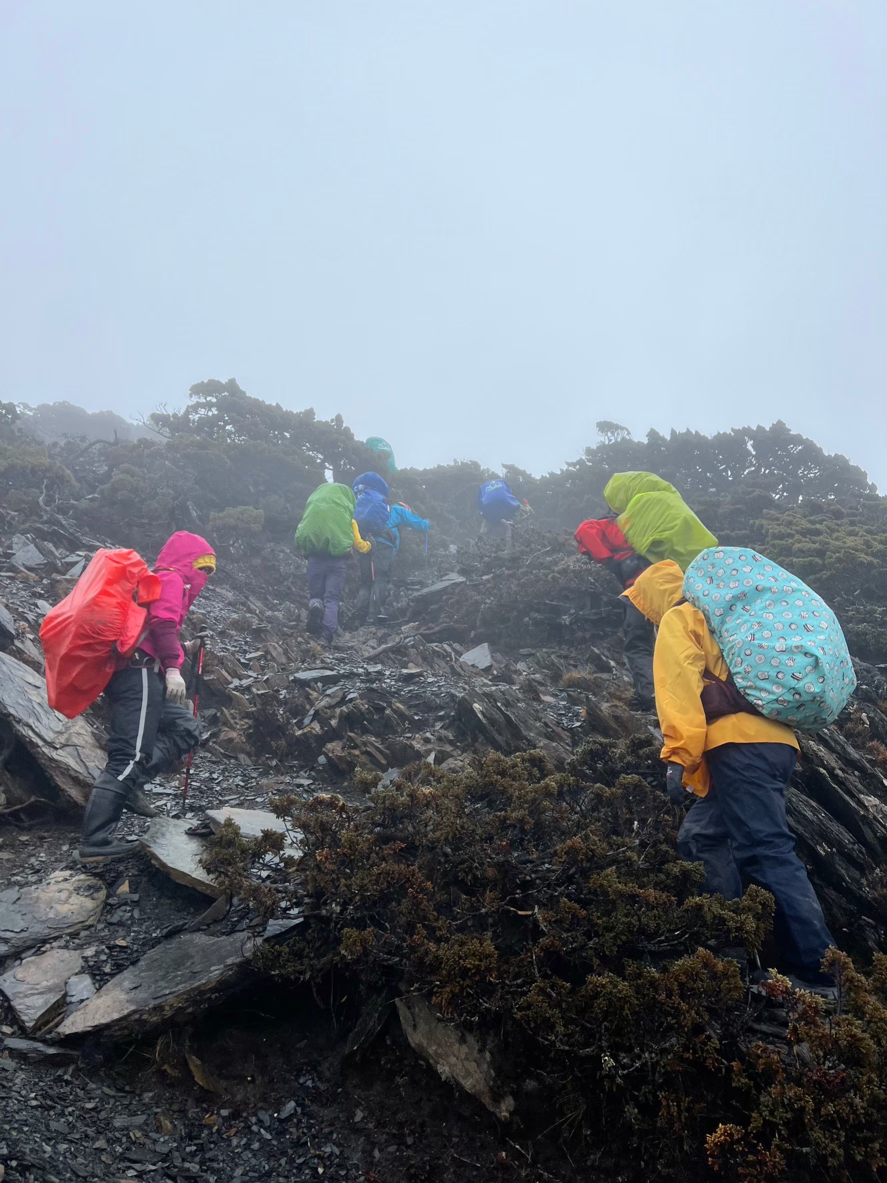 ◈◈ 漫步台灣屋脊的王者之路 ◈◈ 馬博橫斷八天七夜|咕嚕蛙登山隊|:圖片 11