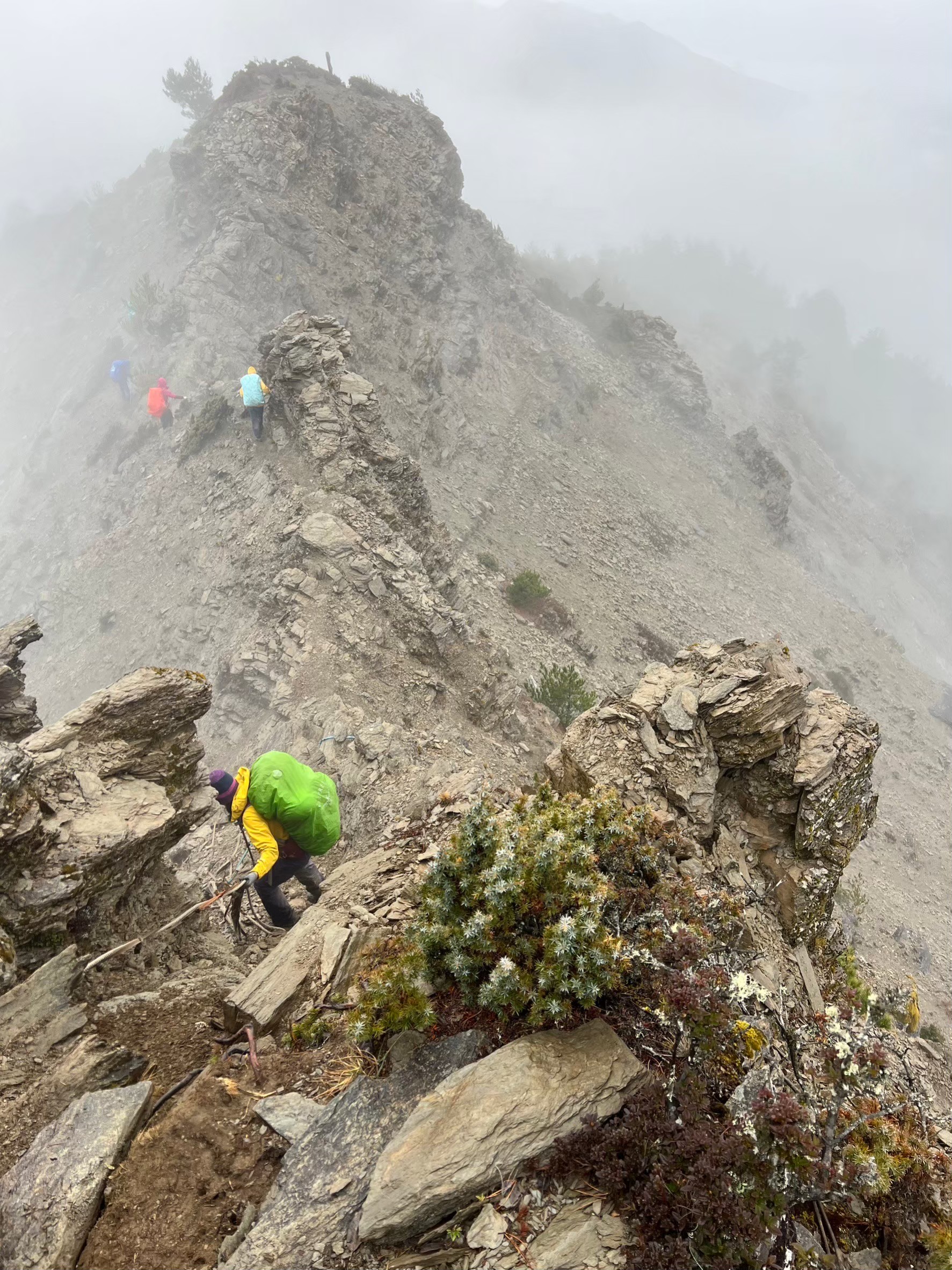 ◈◈ 漫步台灣屋脊的王者之路 ◈◈ 馬博橫斷八天七夜|咕嚕蛙登山隊|