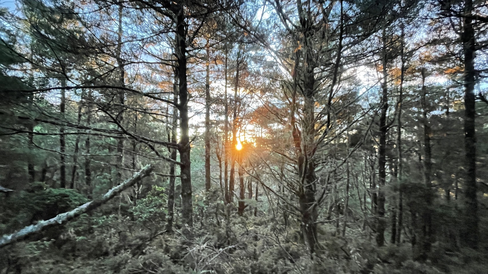 ◈◈ 仰望東台一霸的天空之柱 ◈◈ 新康橫斷六天五夜|咕嚕蛙登山隊|:圖片 2