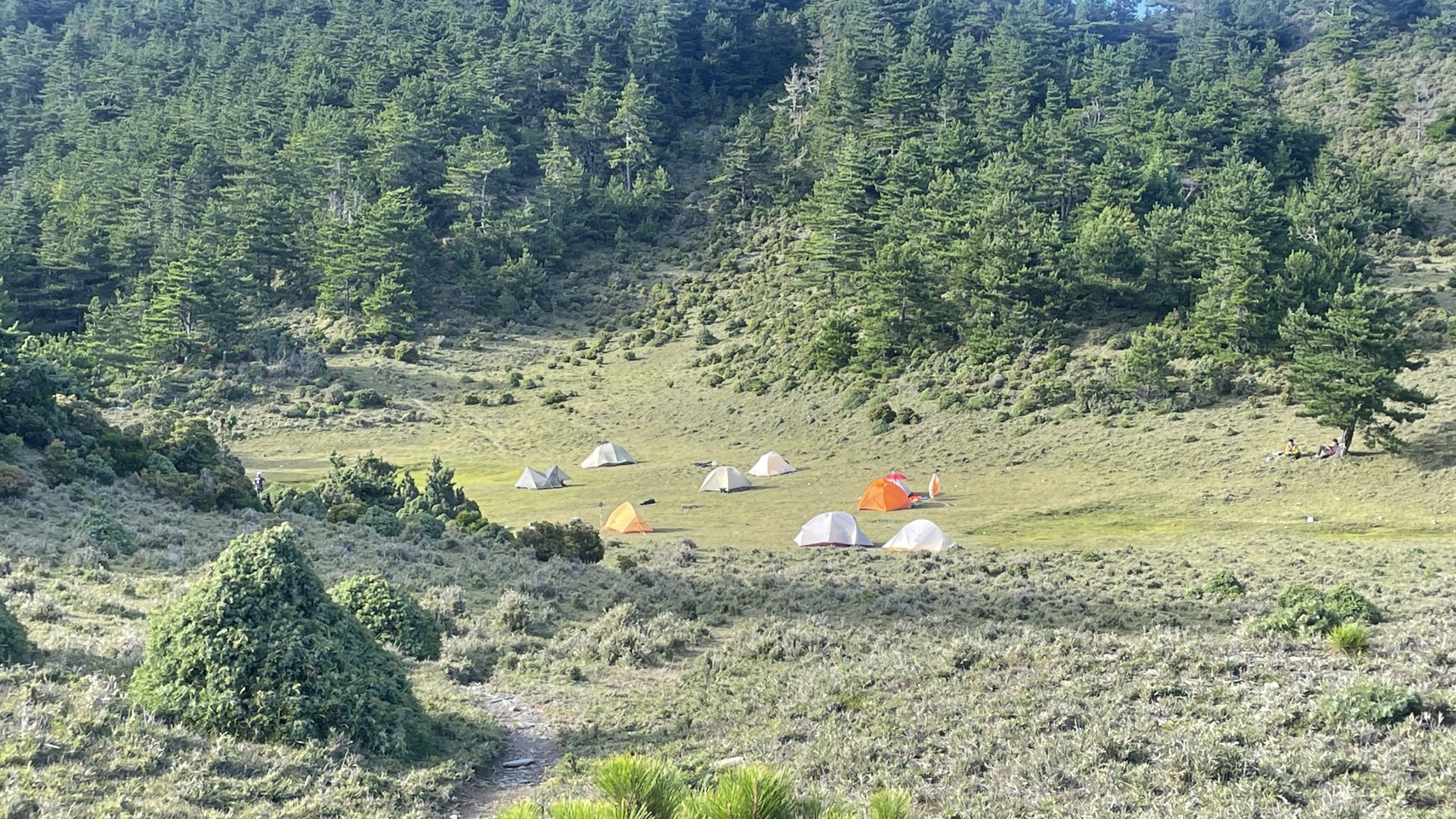 ◈◈ 仰望東台一霸的天空之柱 ◈◈ 新康橫斷六天五夜|咕嚕蛙登山隊|:圖片 3