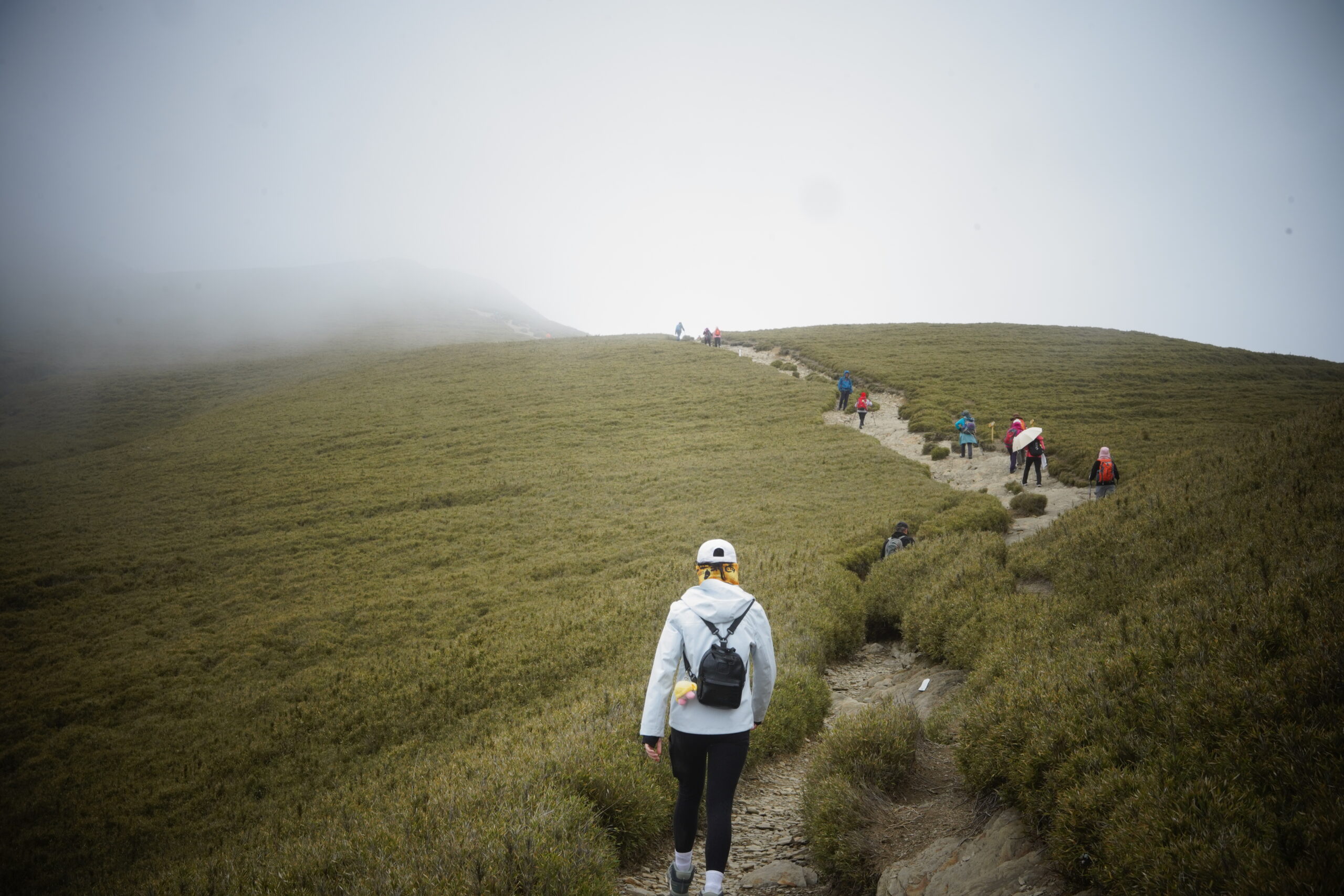 ◈◈登山訓練營◈◈合歡山兩天一夜|咕嚕蛙登山隊|:圖片 6