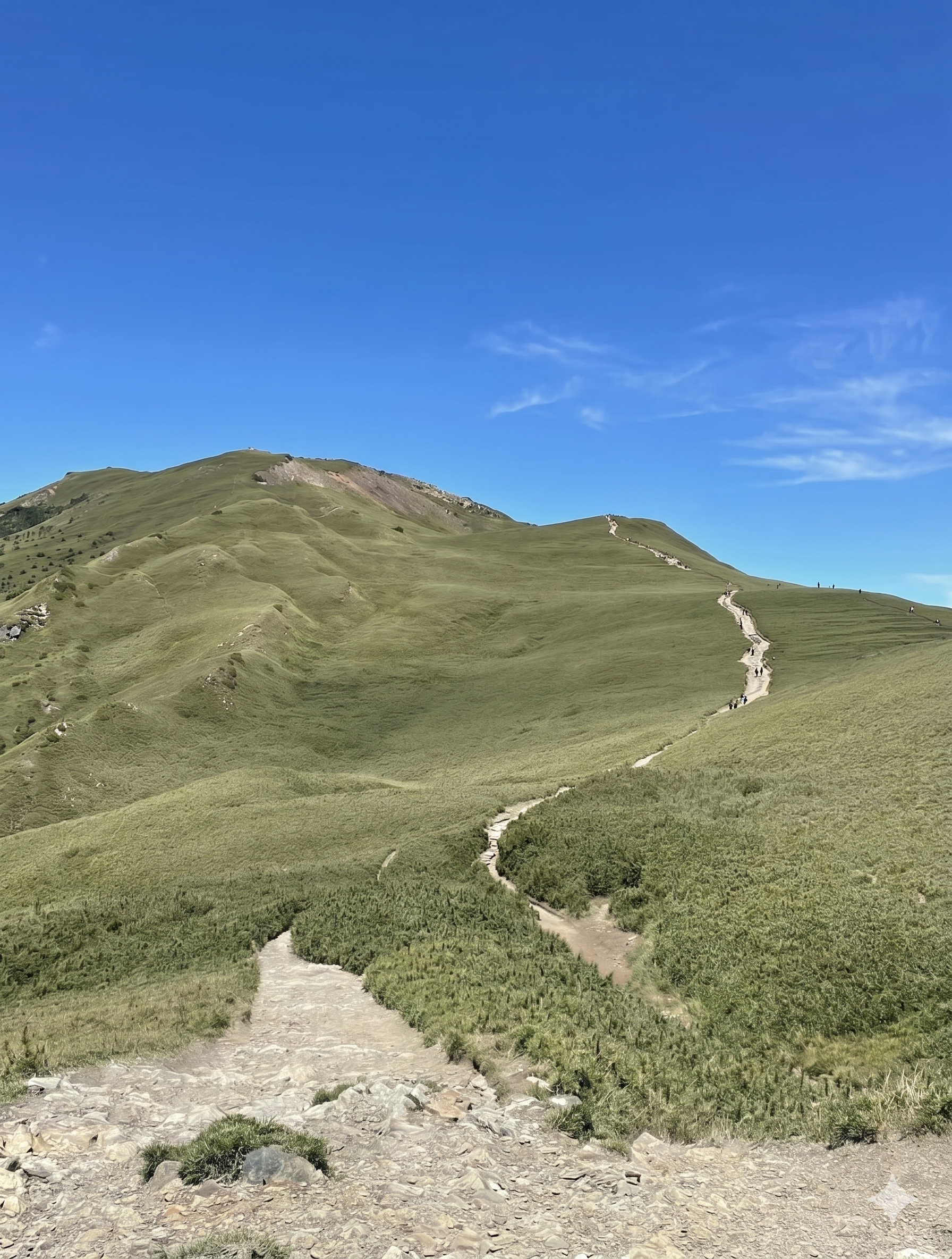 ◈◈登山訓練營◈◈合歡山兩天一夜|咕嚕蛙登山隊|:圖片 4