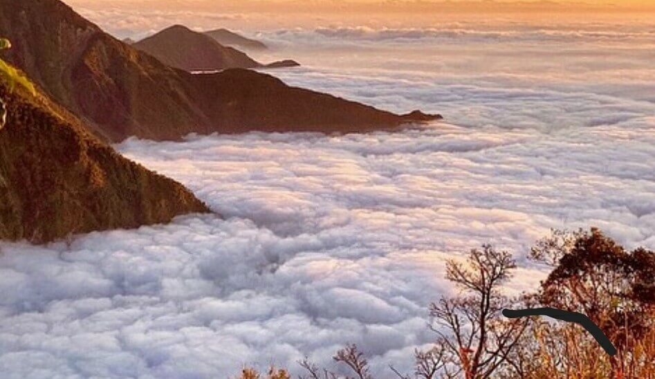尋訪那雲豹的故鄉 北大武山三天兩夜